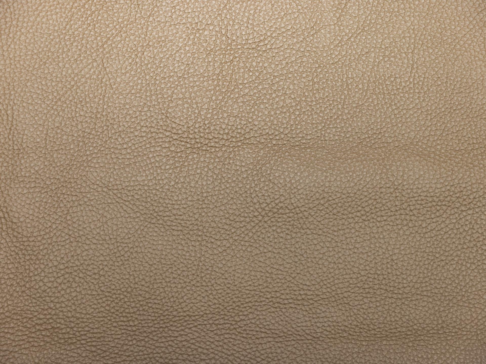 /images/leather/furniture/dakota/Polsterleder-Dakota-Crosta-4467-Taupe.jpg