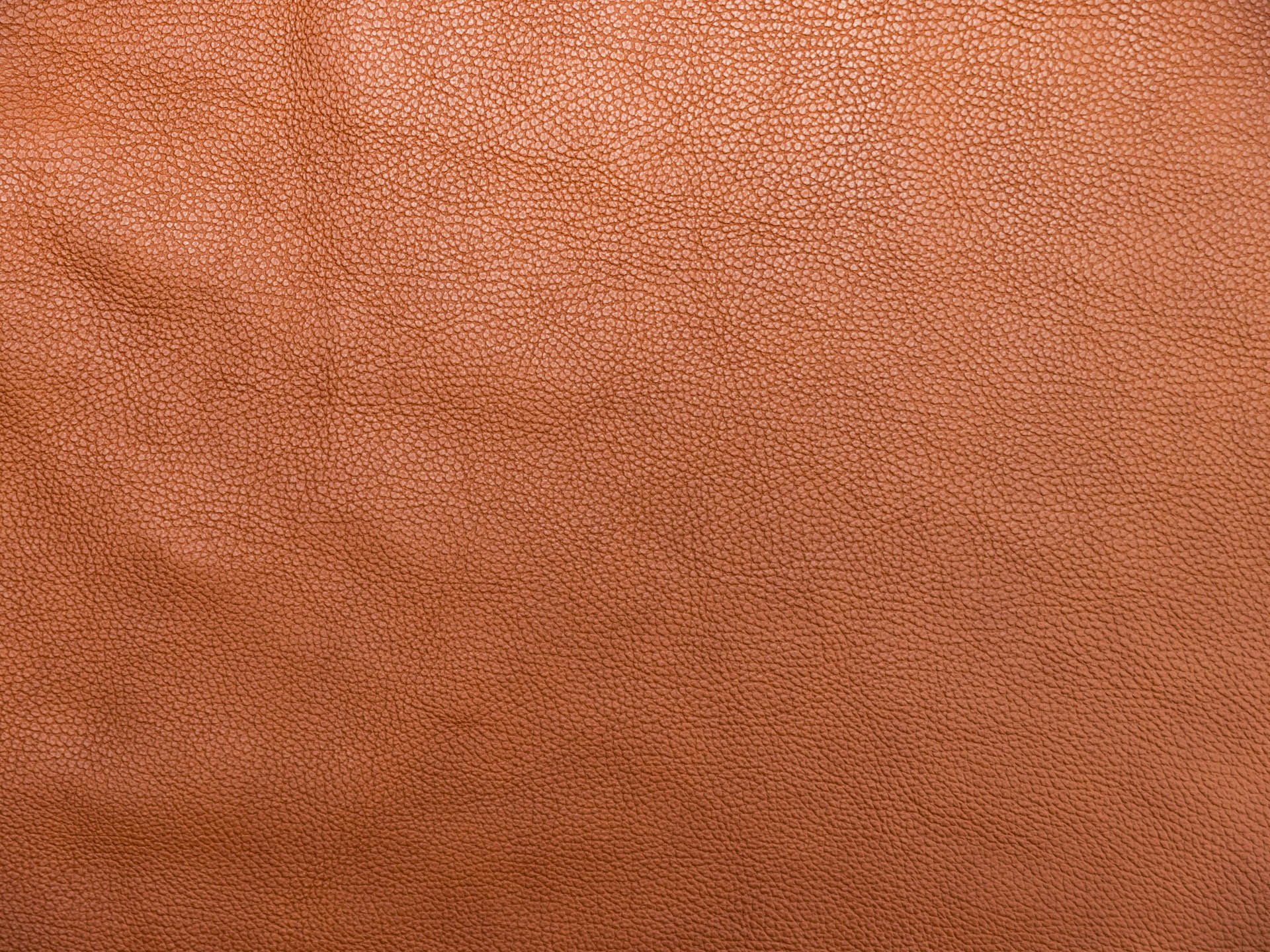 /images/leather/furniture/dakota/Polsterleder-Dakota-Crosta-4649-Cognac.jpg