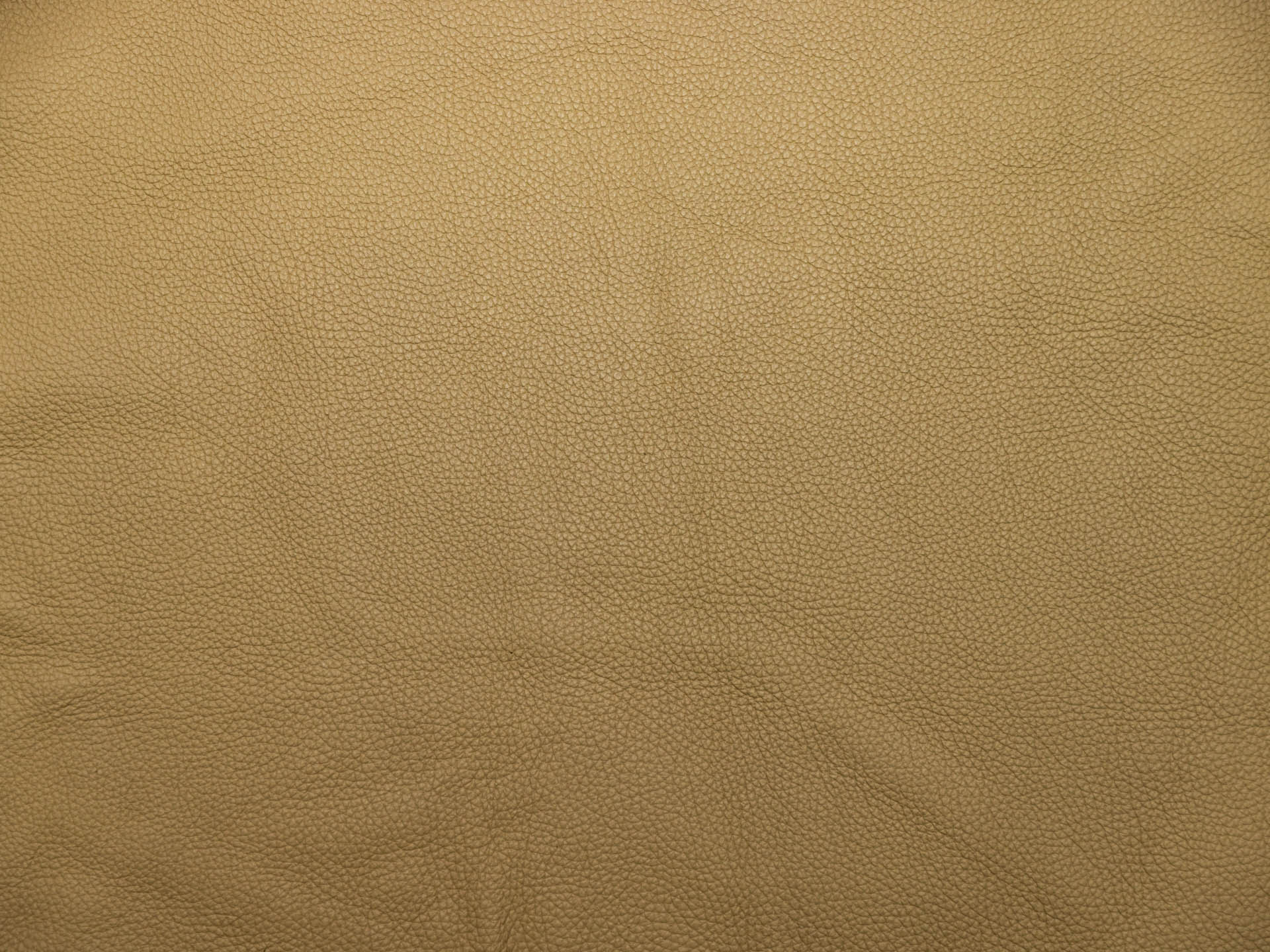 /images/leather/furniture/dakota/Polsterleder-Dakota-Crosta-4951-Creme.jpg