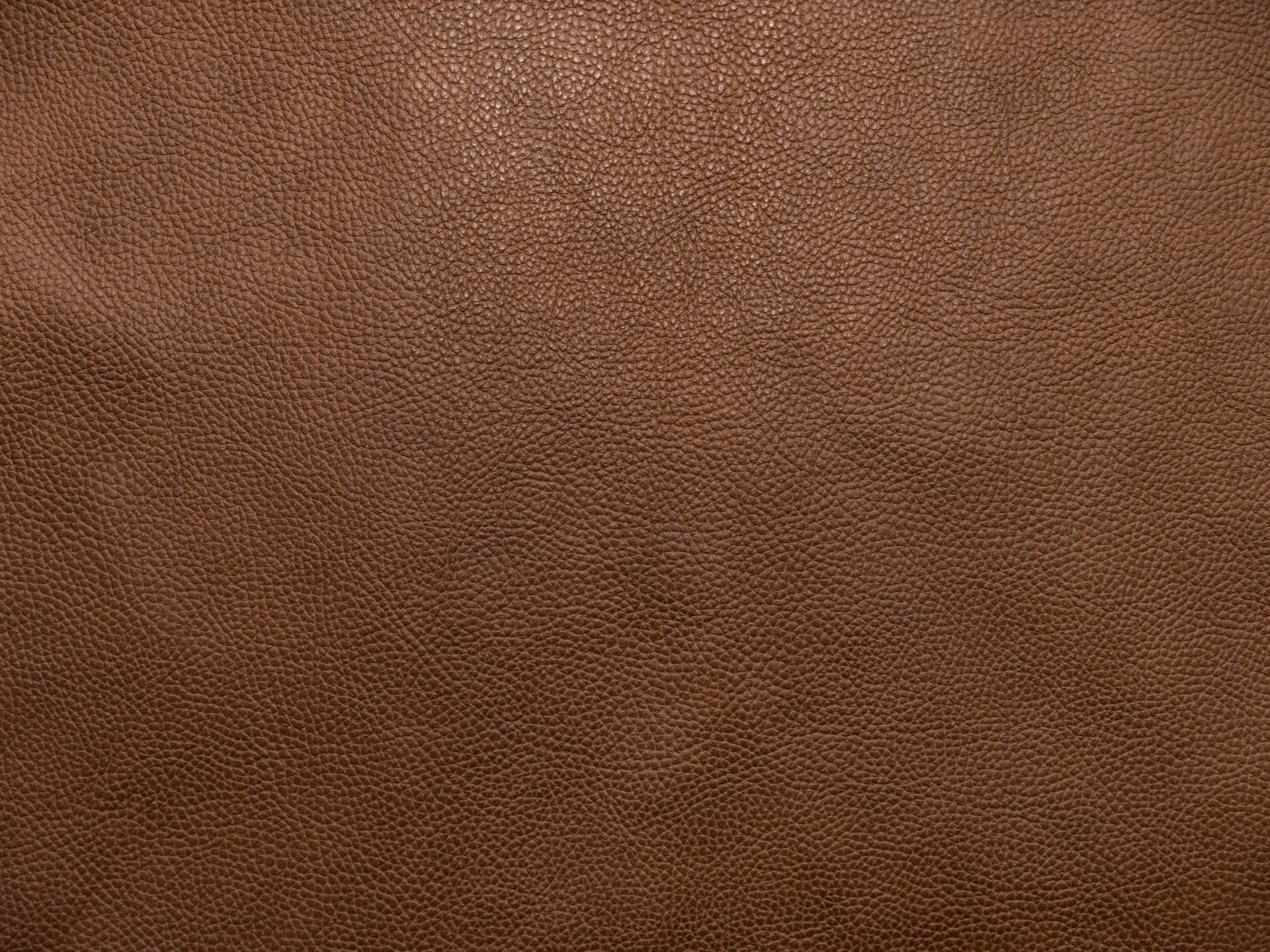 /images/leather/furniture/dakota/Polsterleder-Dakota-Crosta-5622-Seral.jpg