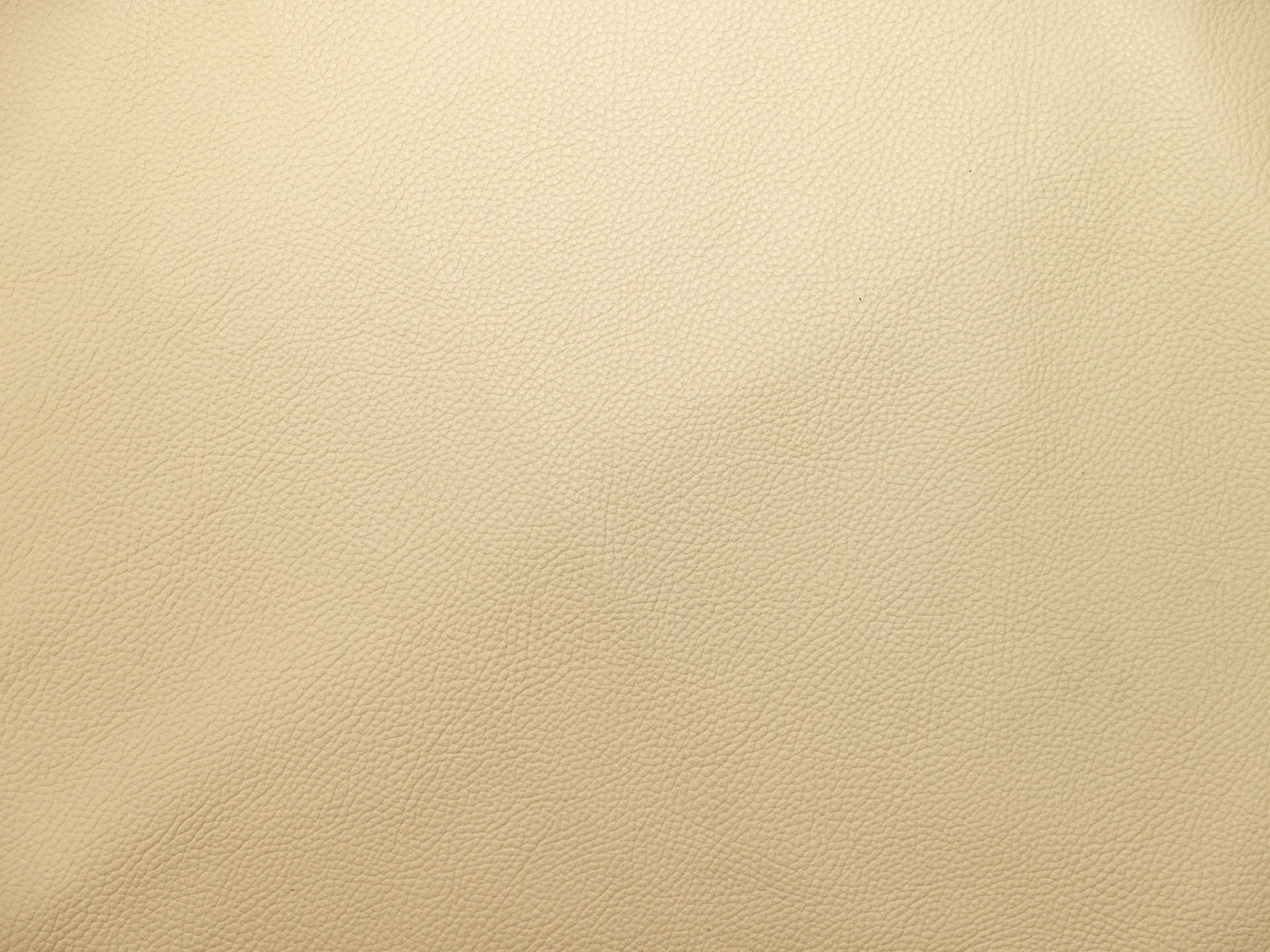 /images/leather/furniture/dakota/Polsterleder-Dakota-Crosta-5915-Elfenbein.jpg