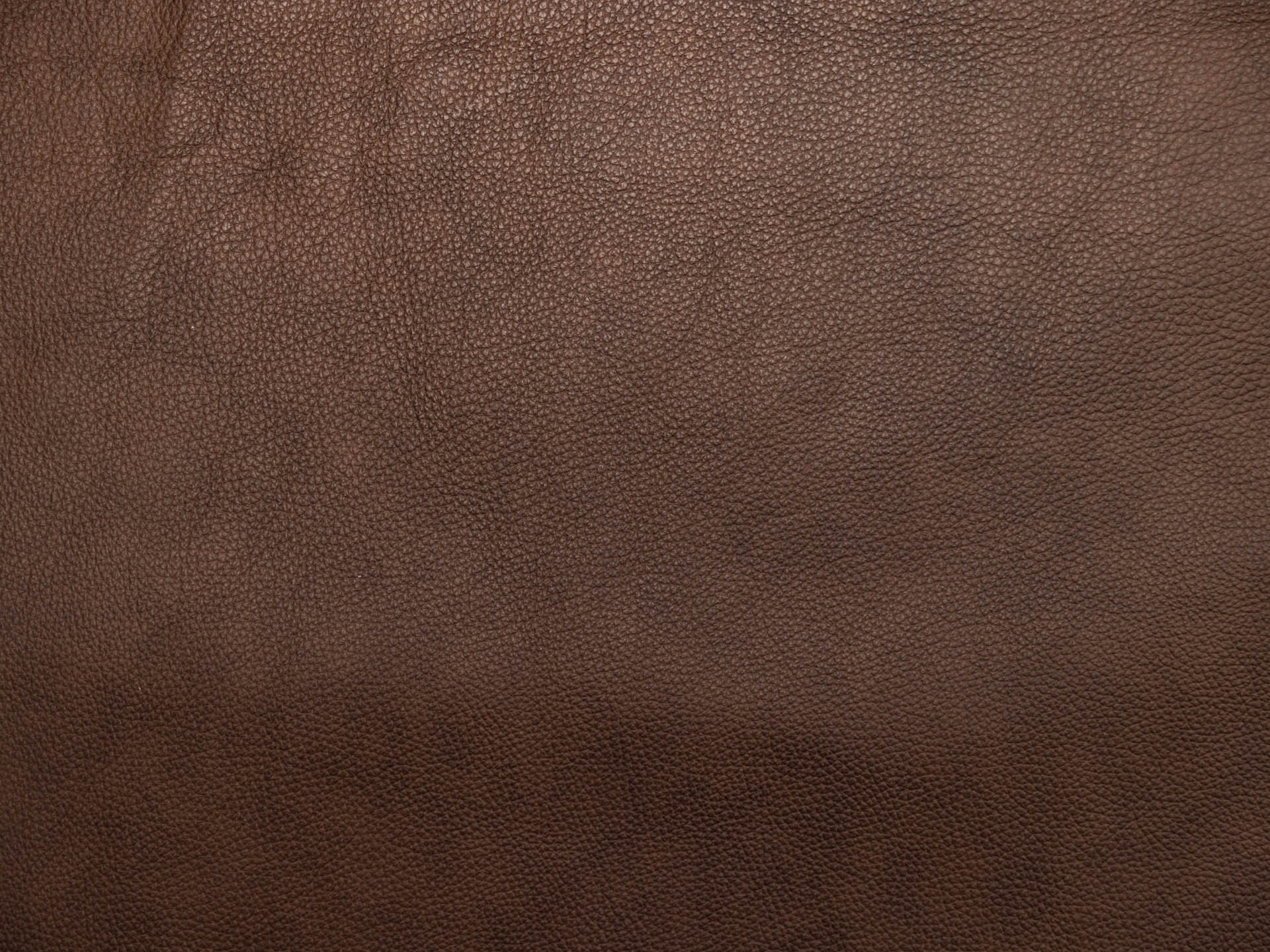 /images/leather/furniture/dakota/Polsterleder-Dakota-Crosta-6518-Brasil.jpg