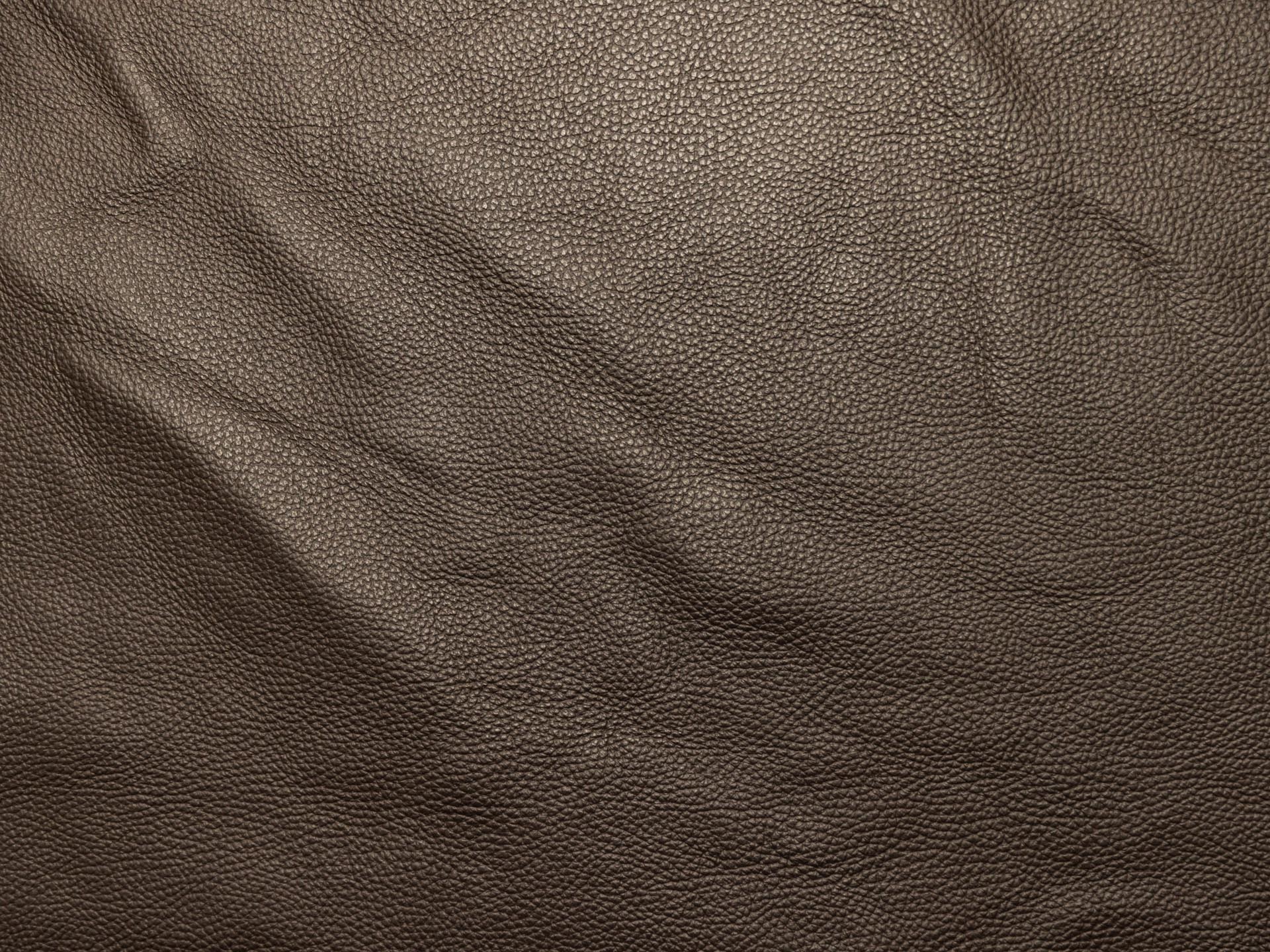 /images/leather/furniture/dakota/Polsterleder-Dakota-Crosta-7244-Espresso.jpg