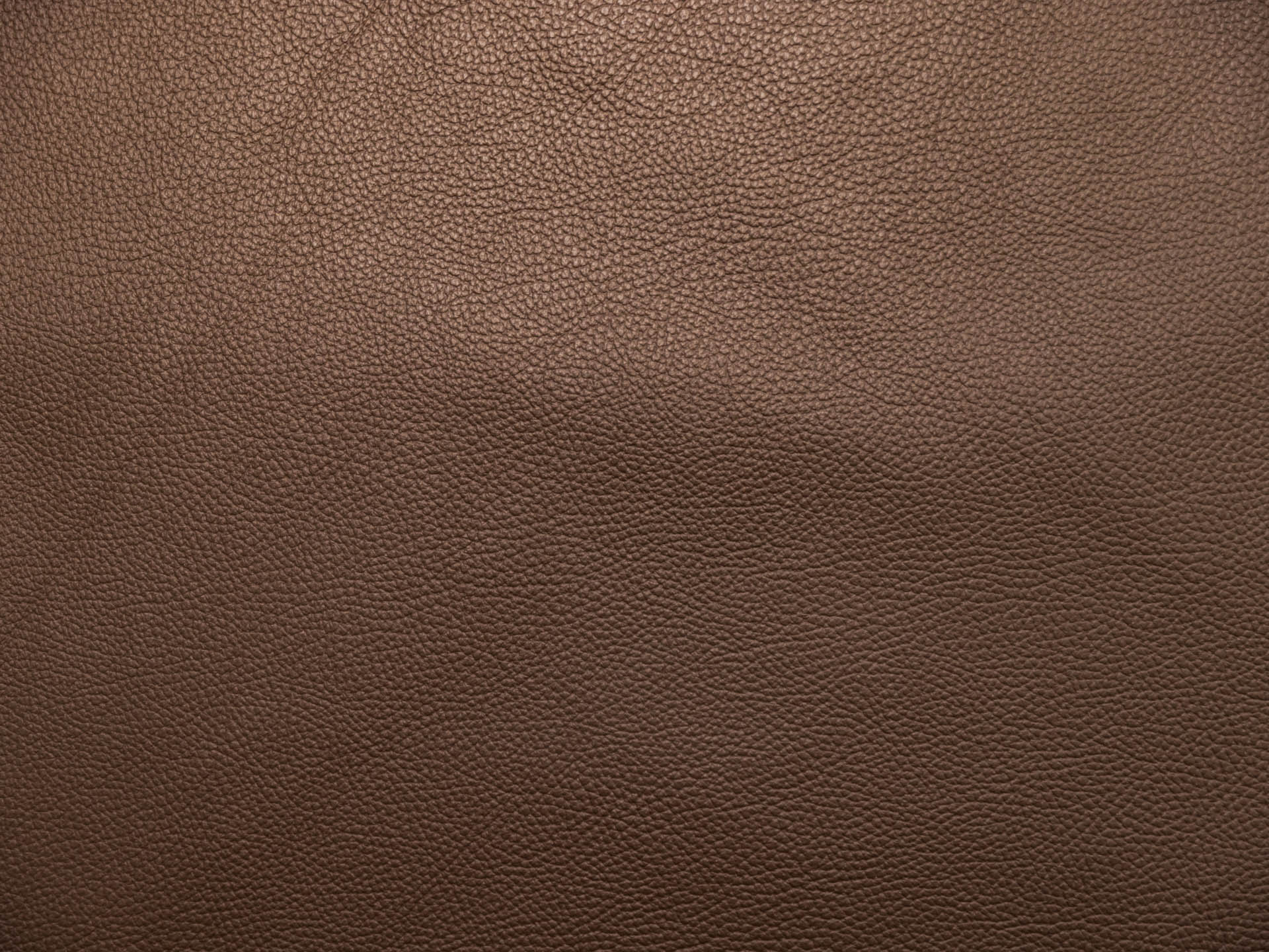/images/leather/furniture/dakota/Polsterleder-Dakota-Crosta-7667-Canyon.jpg