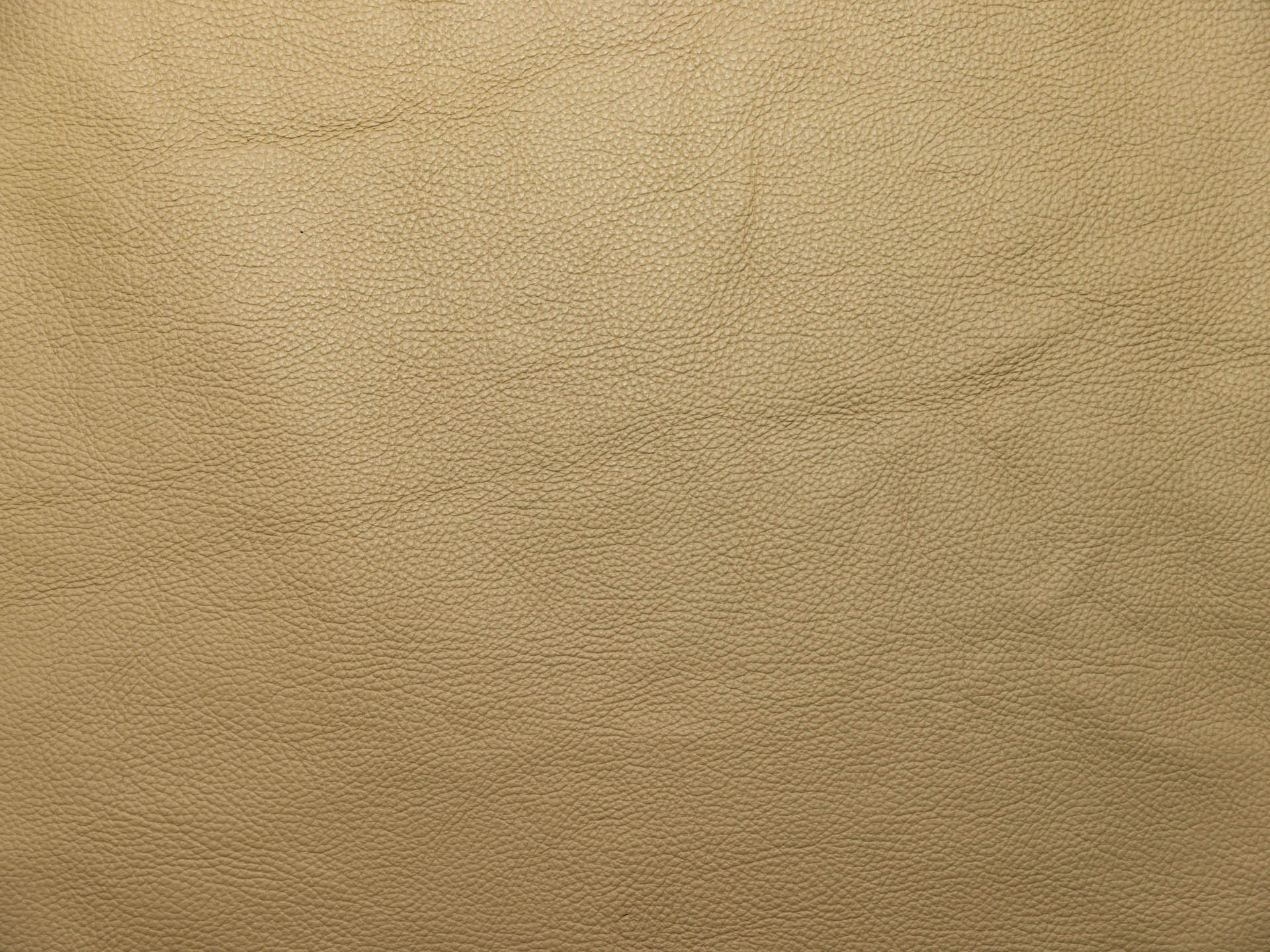 /images/leather/furniture/dakota/Polsterleder-Dakota-Crosta-8203-Alabaster.jpg
