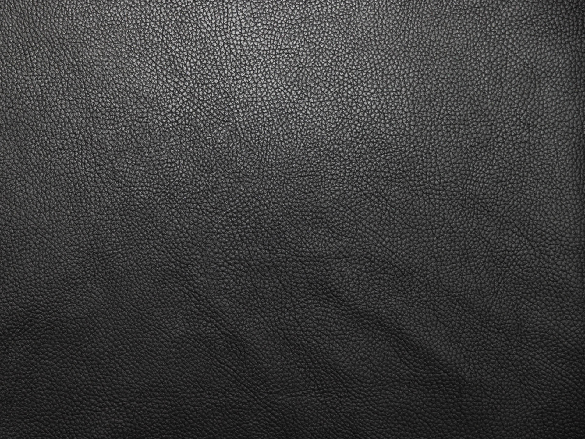 /images/leather/furniture/dakota/Polsterleder-Dakota-Crosta-8206-Anthrazit.jpg