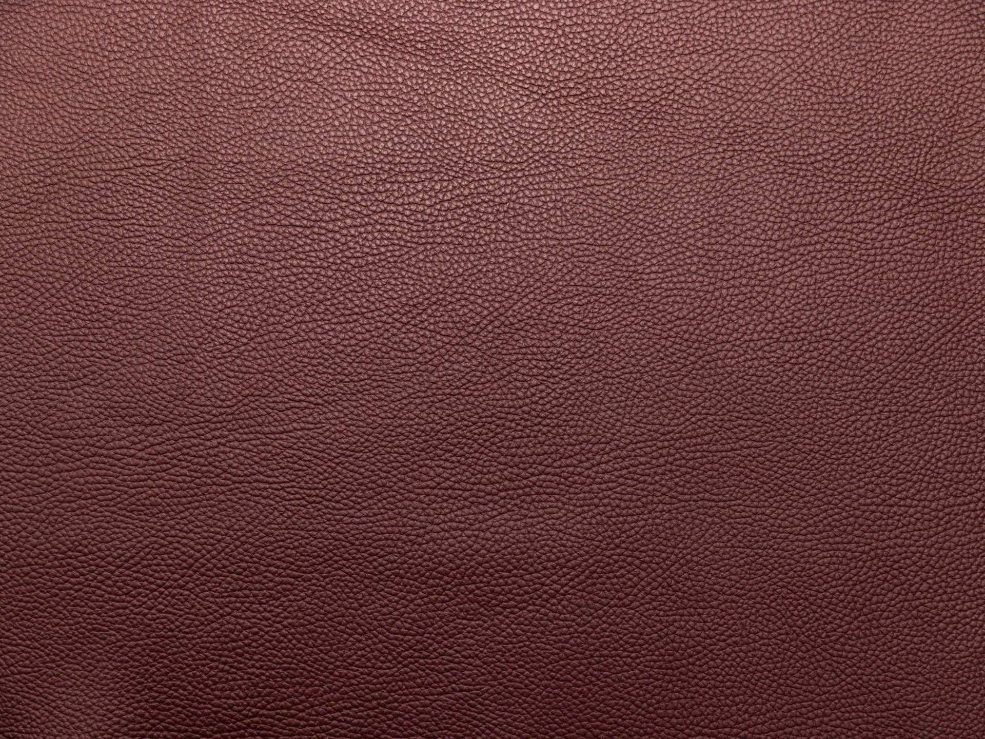 /images/leather/furniture/dakota/Polsterleder-Dakota-Crosta-8209-Burgund.jpg