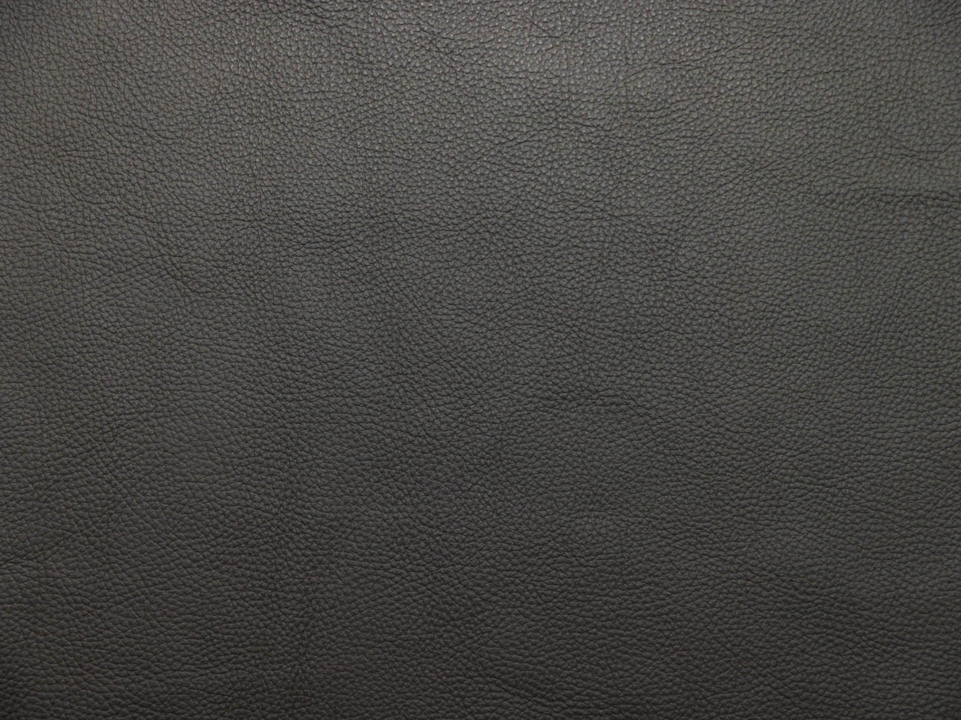 /images/leather/furniture/dakota/Polsterleder-Dakota-Crosta-Grau.jpg