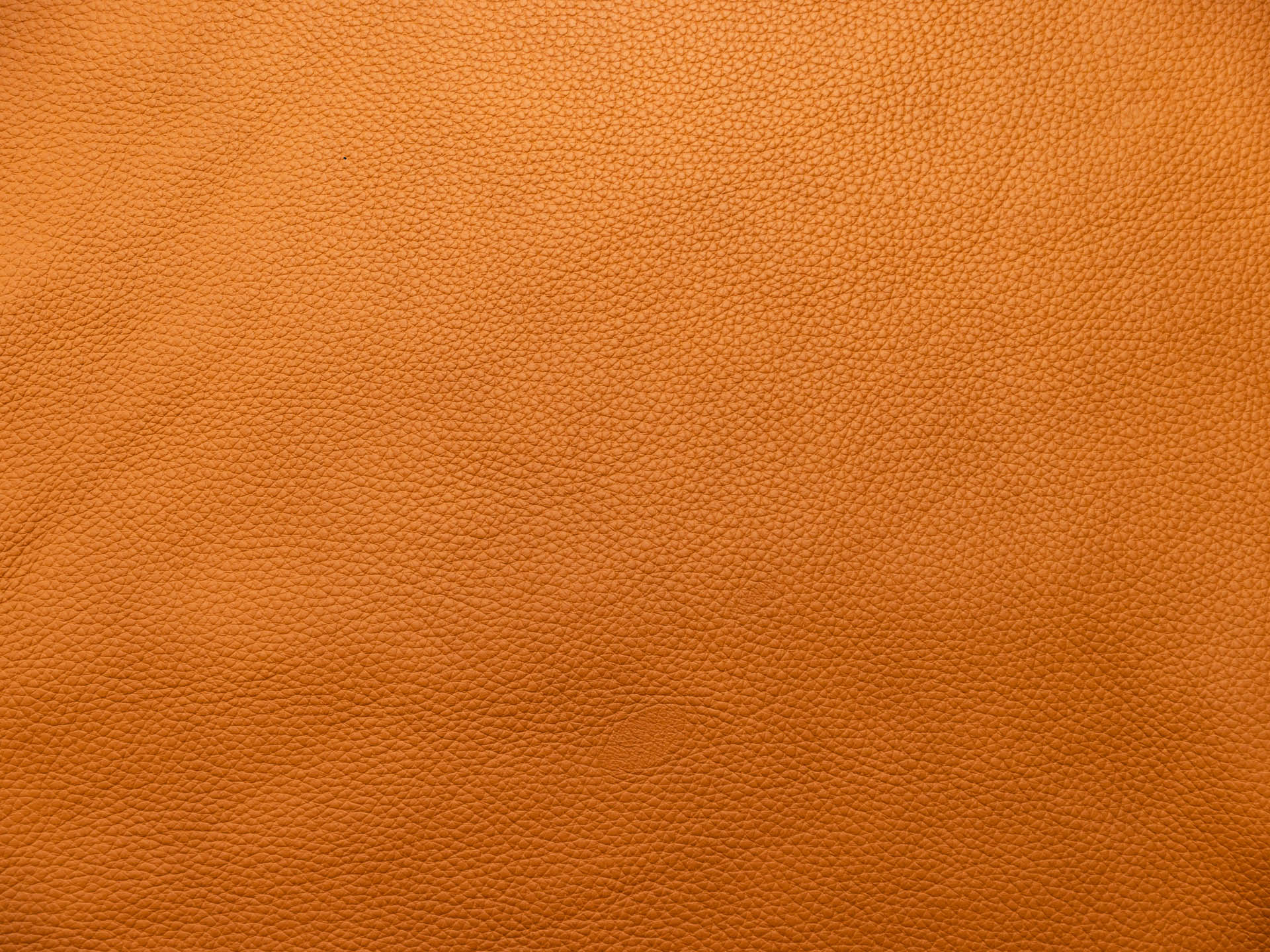 /images/leather/furniture/dakota/Polsterleder-Dakota-Crosta-Namenlos-Teracotta.jpg