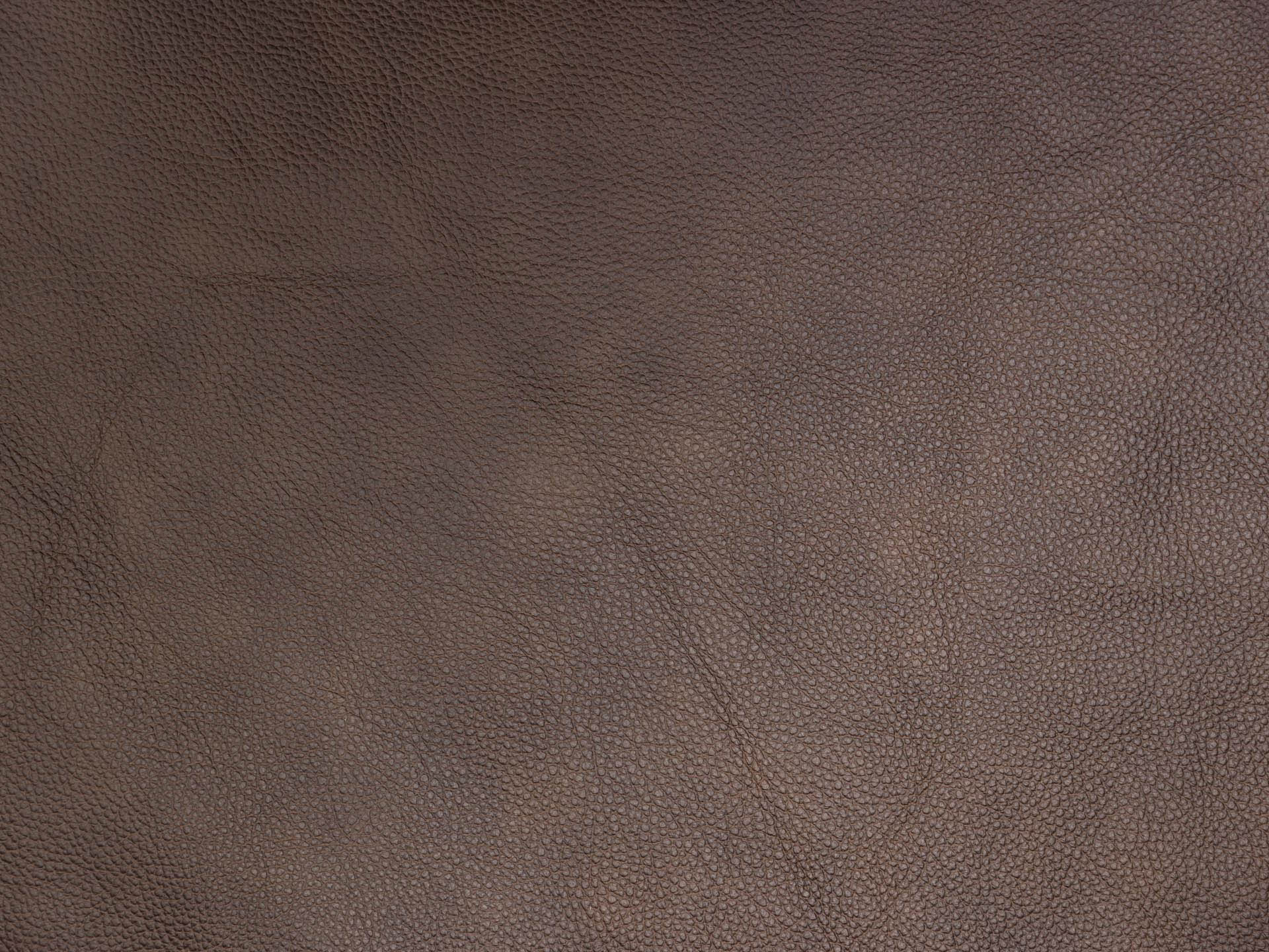 /images/leather/furniture/dakota/Polsterleder-Dakota-Crosta-Romana.jpg