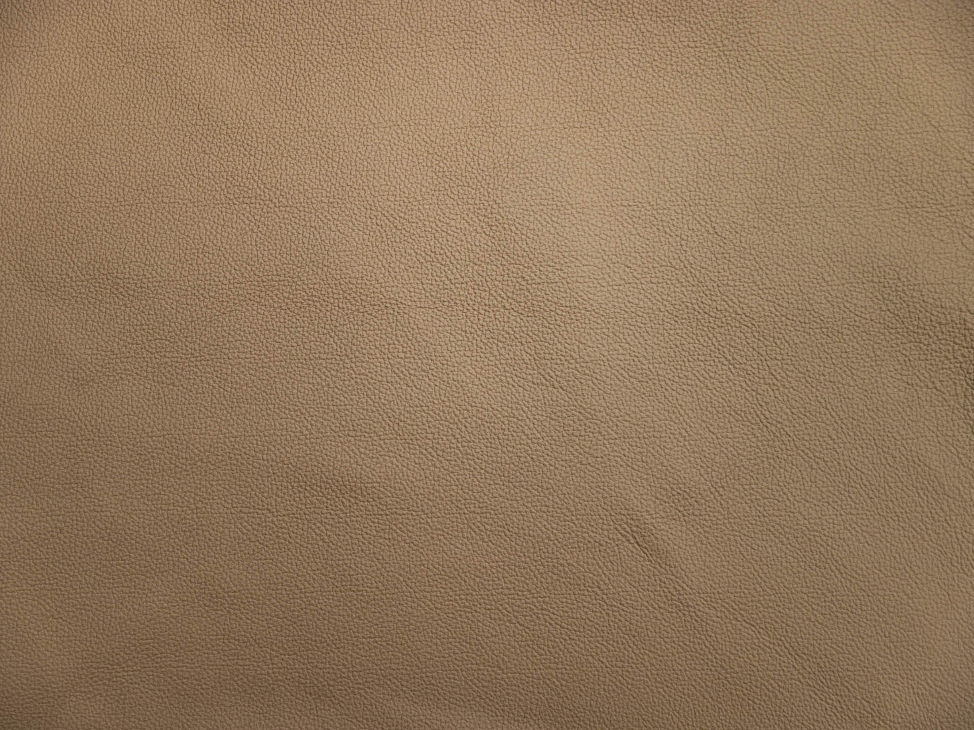 /images/leather/furniture/montana/Polsterleder-Montana-3508-Sabbia-Nr-17.jpg
