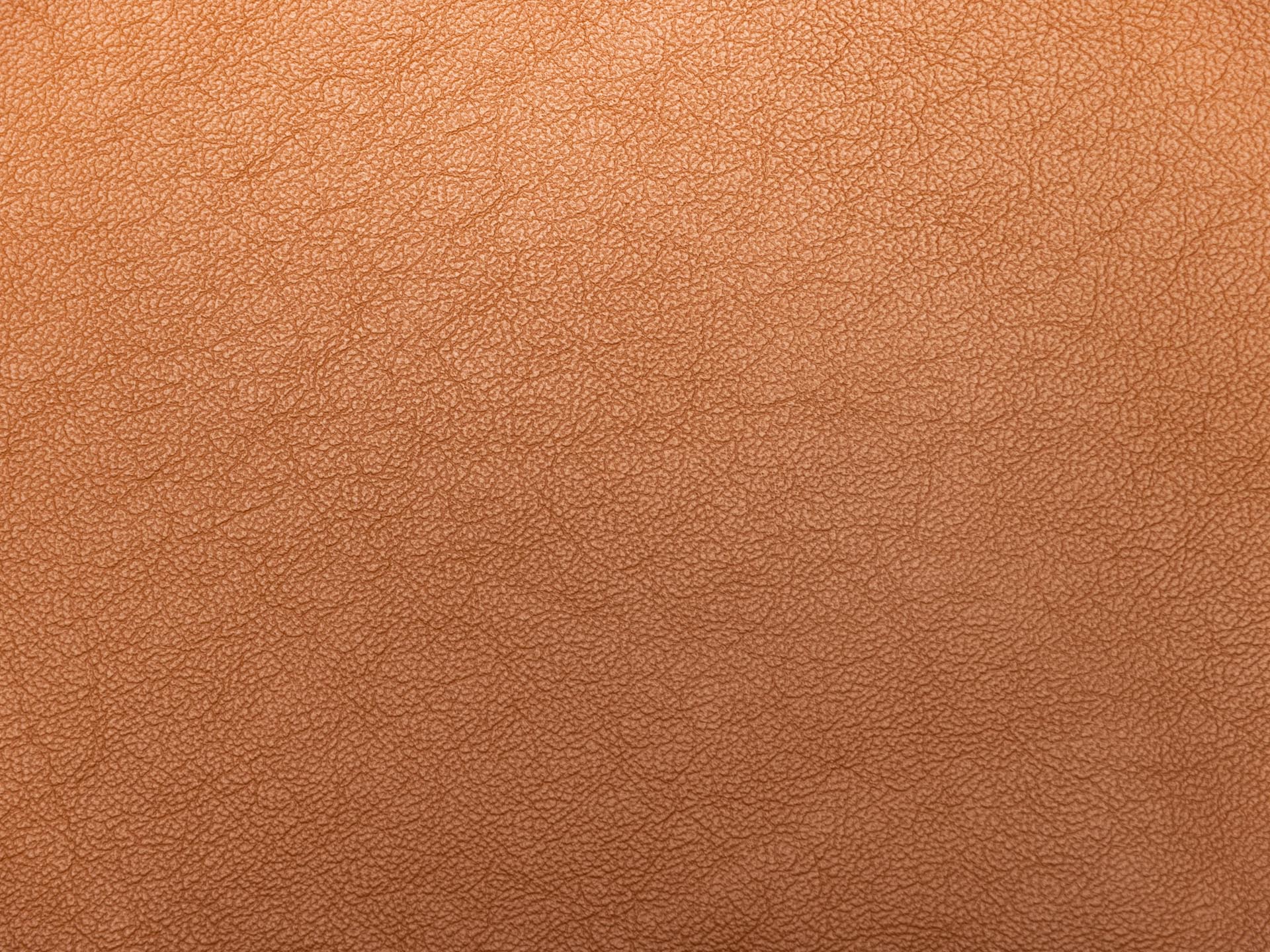 /images/leather/furniture/montana/Polsterleder-Montana-4649-Cognac-Nr-23.jpg
