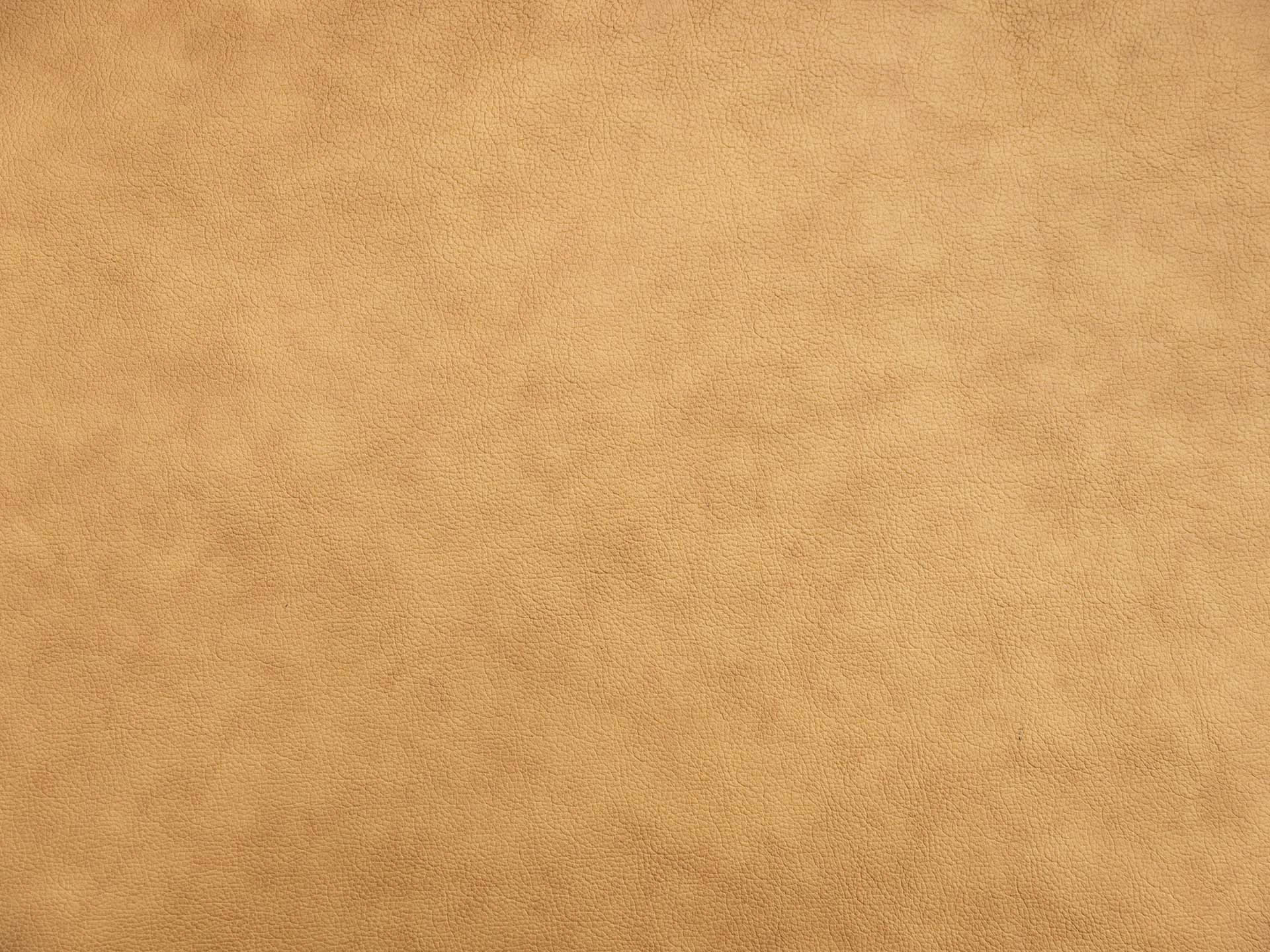 /images/leather/furniture/montana/Polsterleder-Montana-5351-Kamel-Nr-13.jpg