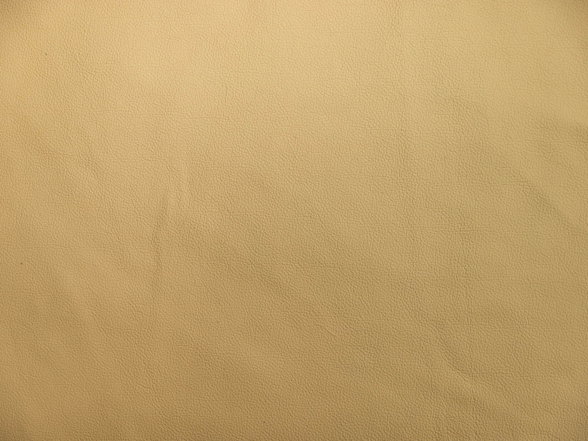 /images/leather/furniture/montana/Polsterleder-Montana-5561-Helios-Nr-20.jpg