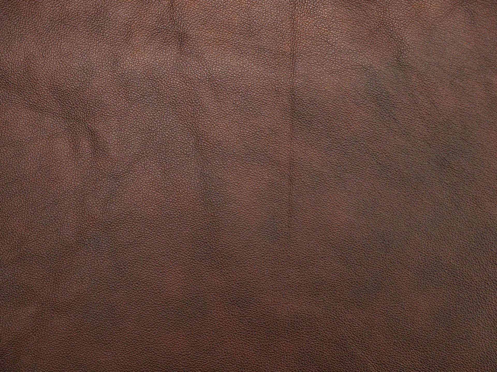 /images/leather/furniture/montana/Polsterleder-Montana-6518-Terra.jpg