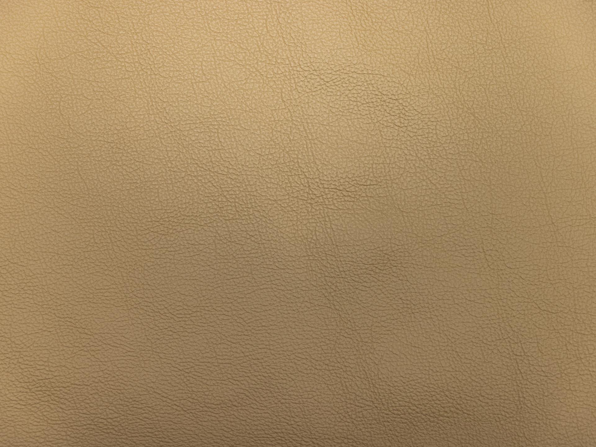 /images/leather/furniture/montana/Polsterleder-Montana-Crema-Nr-5.jpg