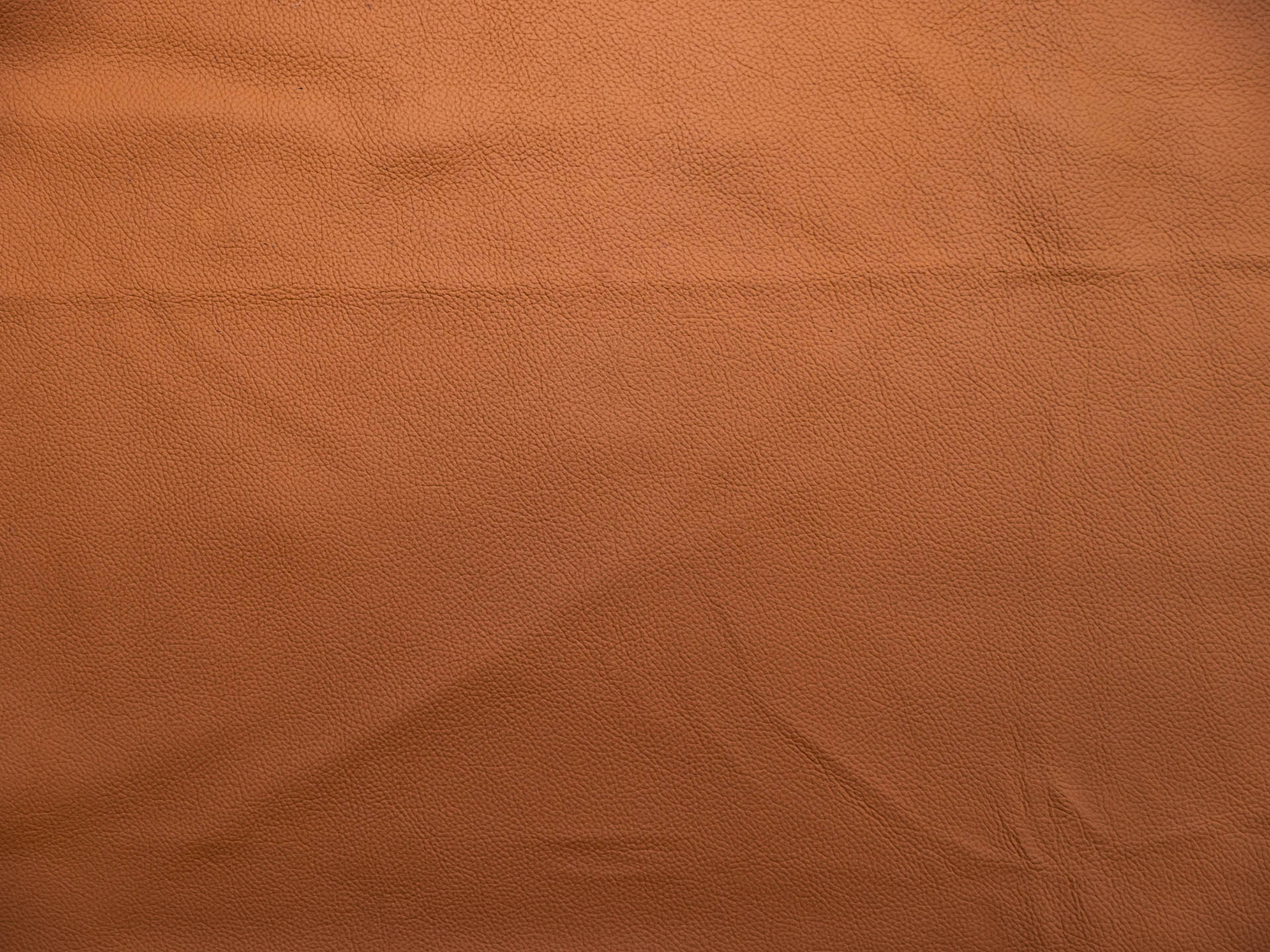 /images/leather/furniture/montana/Polsterleder-Montana-Melon-Nr-24.jpg