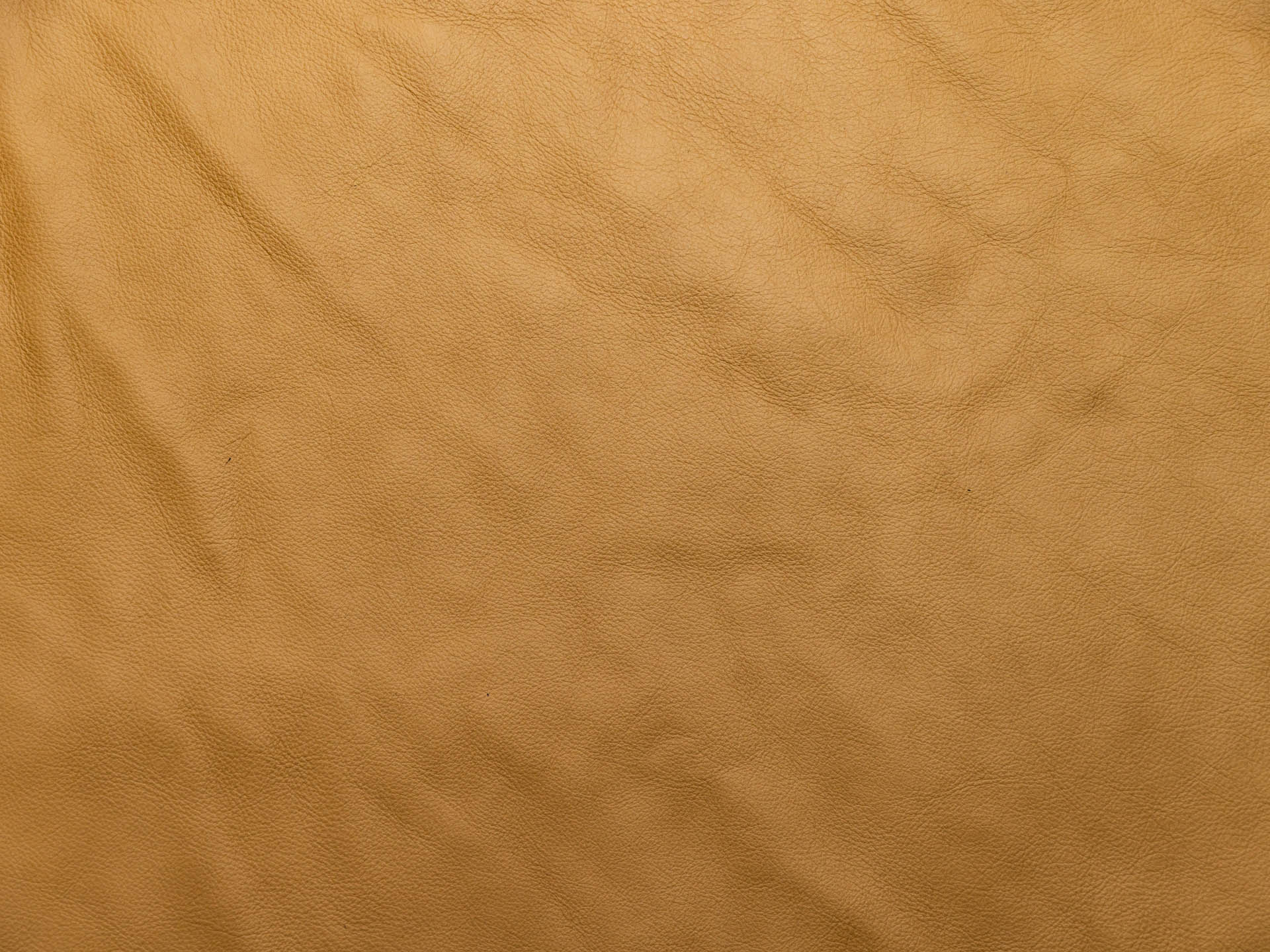 /images/leather/furniture/nappa/Polsterleder-Buffi-Nappa-5351-Crema.jpg