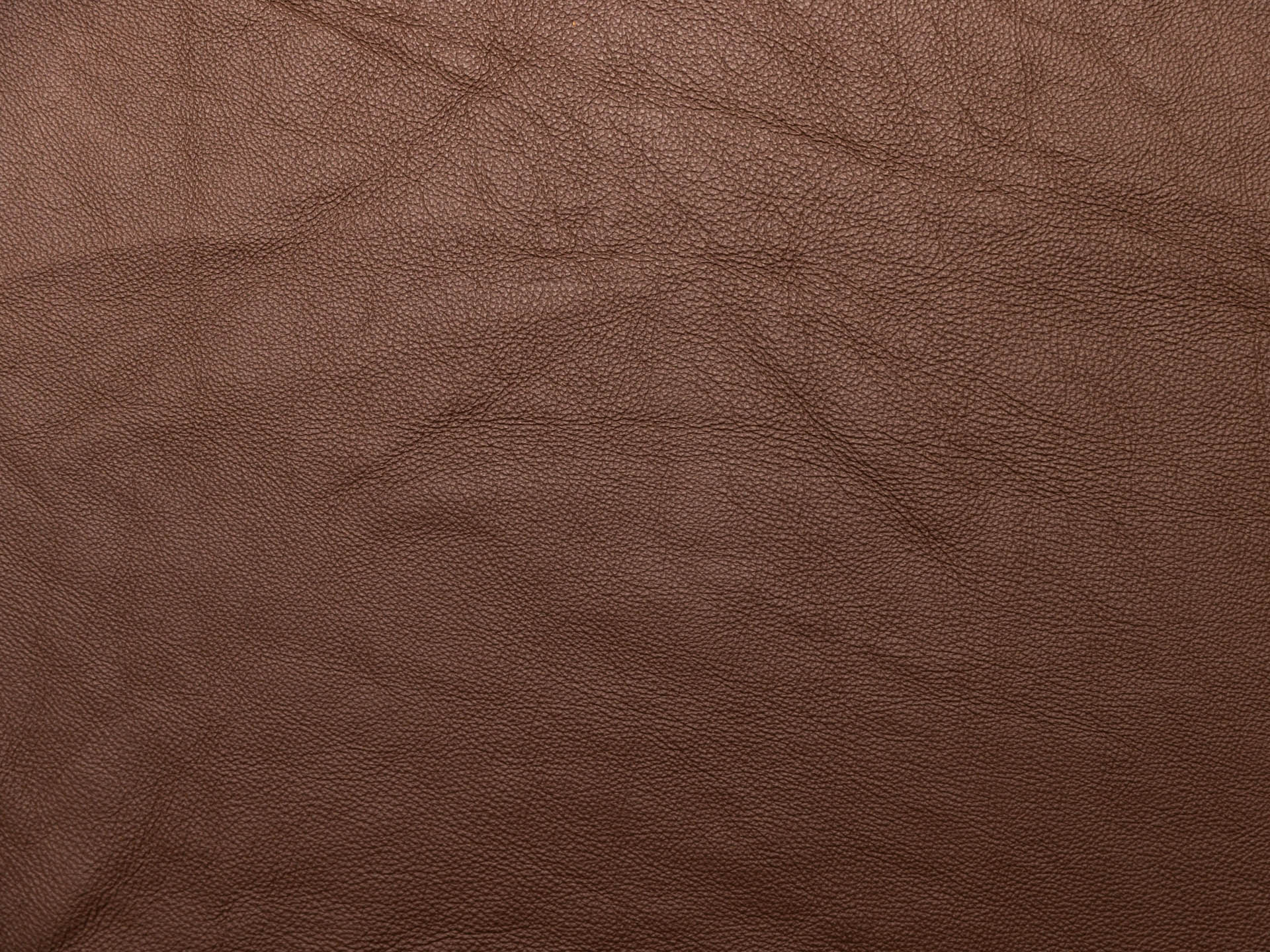 /images/leather/furniture/nappa/Polsterleder-Buffi-Nappa-8305-Nr-42-Brown.jpg