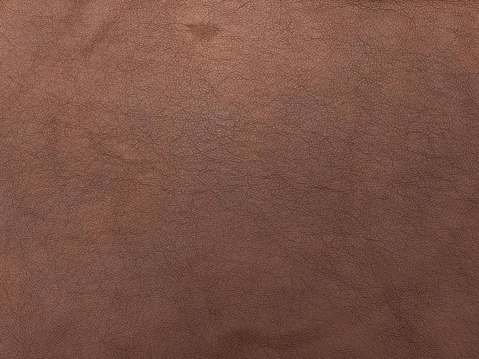 /images/leather/furniture/nappa/Polsterleder-Buffi-Nappa-8305-Nr-57-Brown.jpg