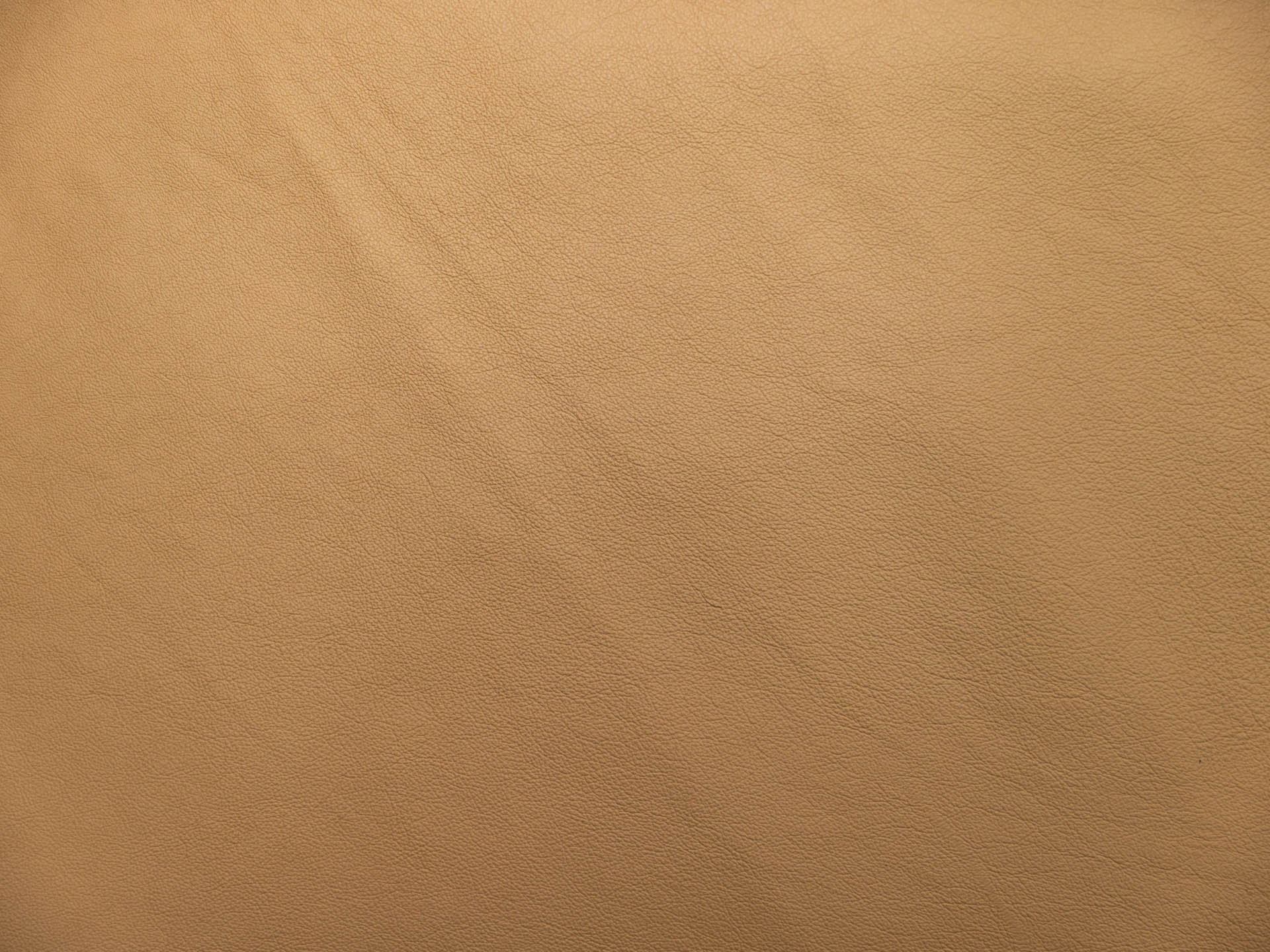 /images/leather/furniture/nappa/Polsterleder-Buffi-Nappa-Laron-Nr-55.jpg