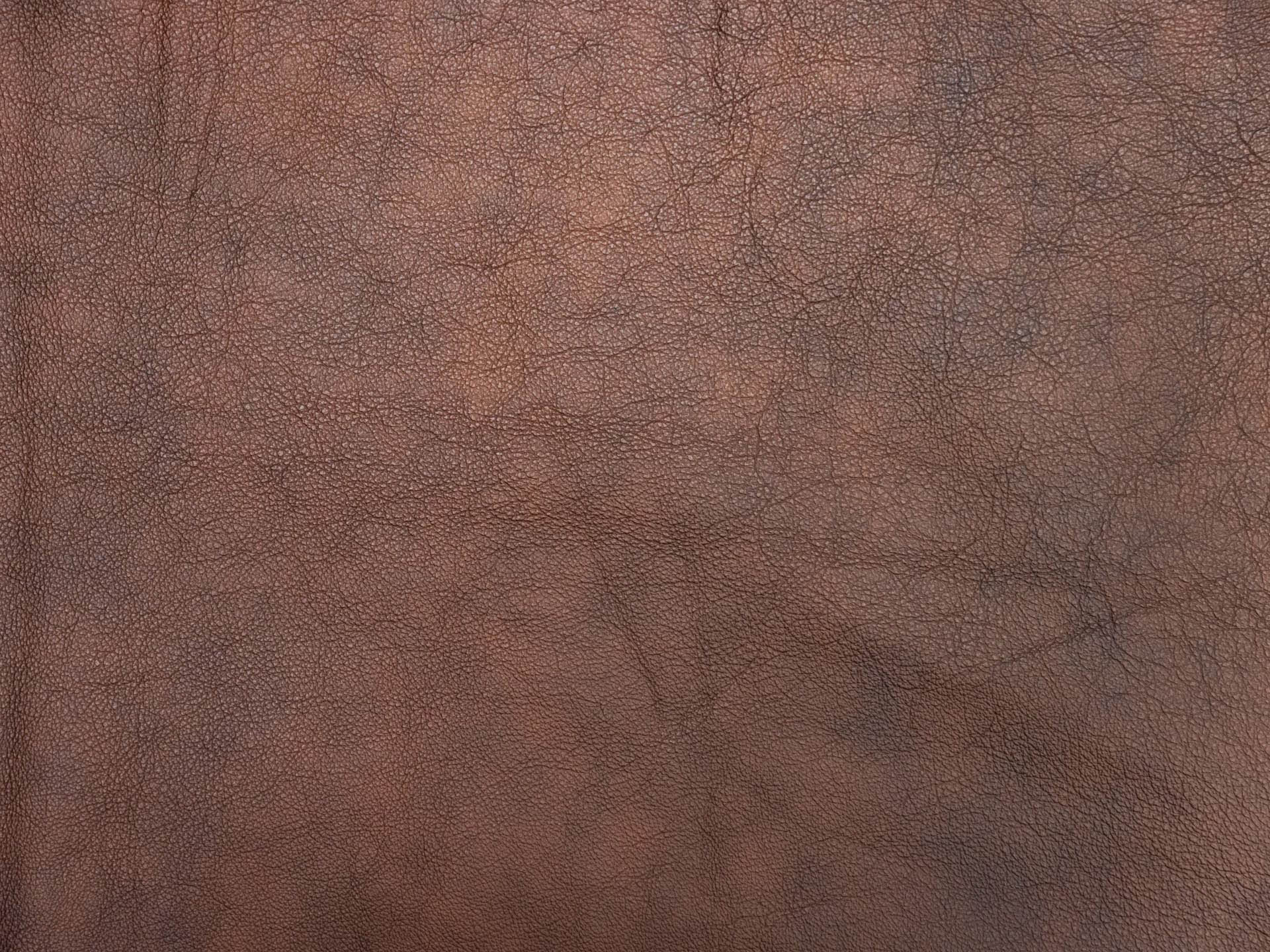 /images/leather/furniture/nappa/Polsterleder-Lari-Nappa-2597-Cognac.jpg