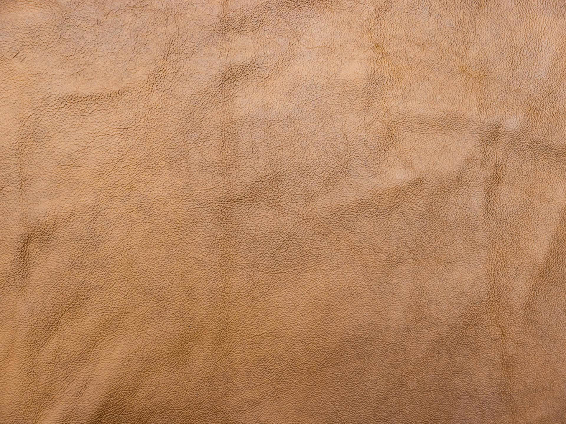 /images/leather/furniture/nappa/Polsterleder-Lari-Nappa-8106-Hellbraun.jpg