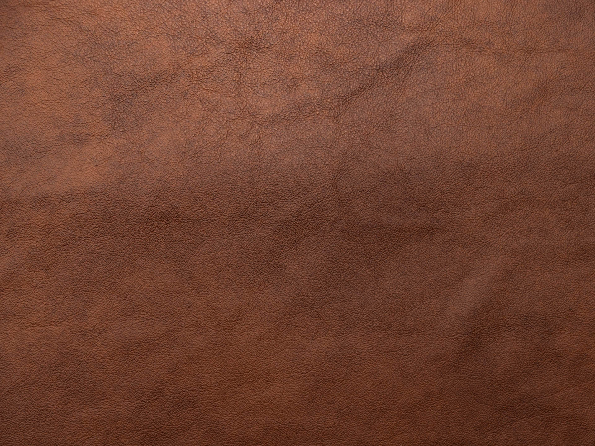 /images/leather/furniture/nappa/Polsterleder-Lari-Nappa-Buffalo-57.jpg