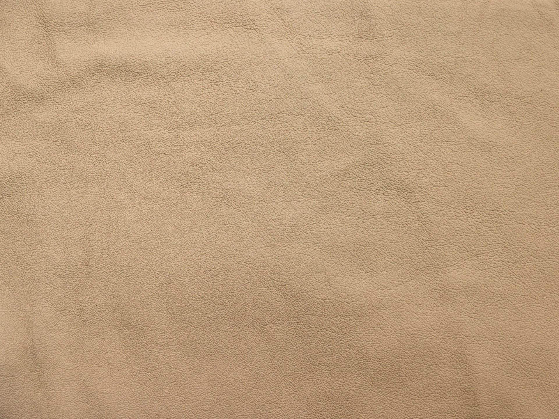 /images/leather/furniture/nappa/Polsterleder-Lari-Nappa-Sandbeige-Nr-113.jpg