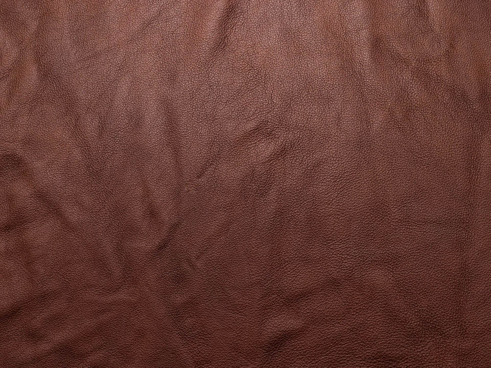 /images/leather/furniture/nappa/Polsterleder-Lari-Nappa-Tobacco-Nr-127.jpg