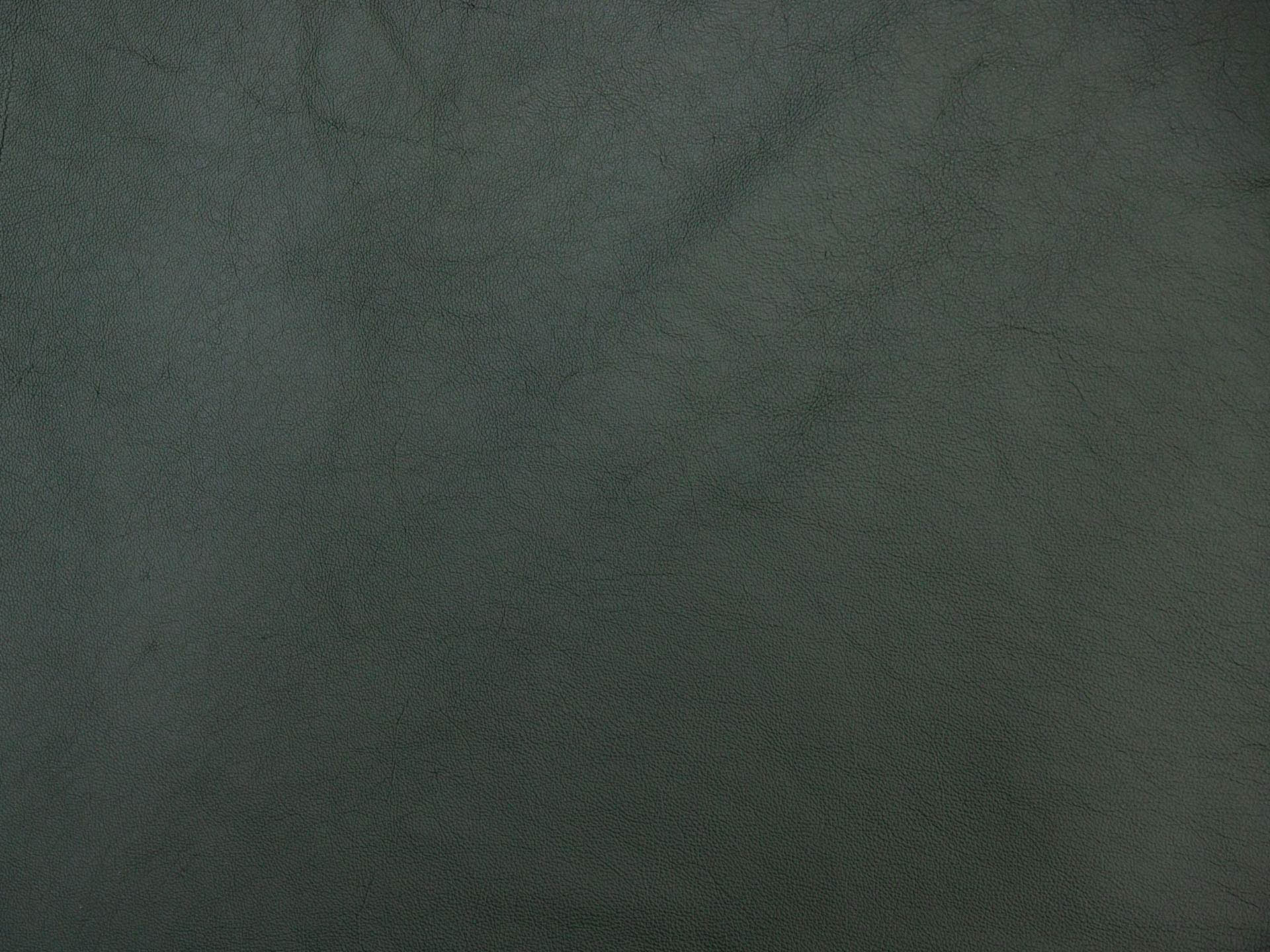 /images/leather/furniture/nappa/Polsterleder-Lari-Nappa-Verde-Nr-86.jpg